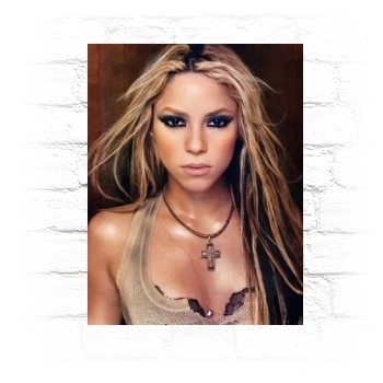 Shakira Metal Wall Art