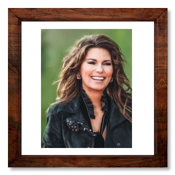 Shania Twain 12x12