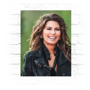 Shania Twain Metal Wall Art