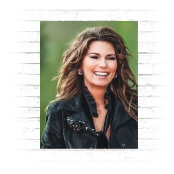 Shania Twain Poster