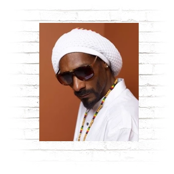 Snoop Dogg Poster