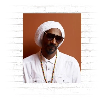 Snoop Dogg Poster