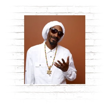 Snoop Dogg Poster