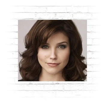 Sophia Bush Poster