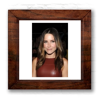 Sophia Bush 6x6