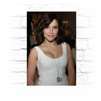 Sophia Bush Metal Wall Art