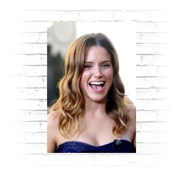 Sophia Bush Poster