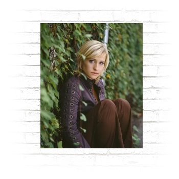 Allison Mack Poster