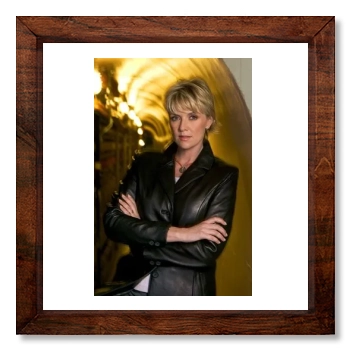 Amanda Tapping 12x12