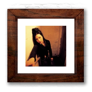 Amy Lee 6x6