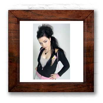 Amy Lee 6x6