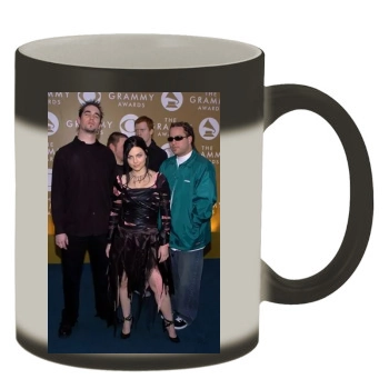 Amy Lee Color Changing Mug