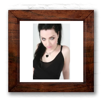 Amy Lee 6x6