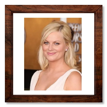 Amy Poehler 12x12