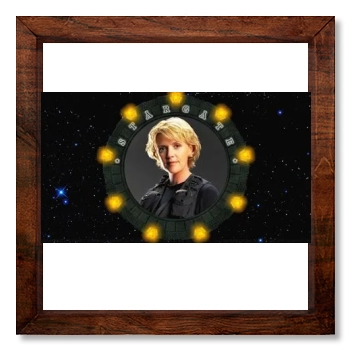 Amanda Tapping 12x12