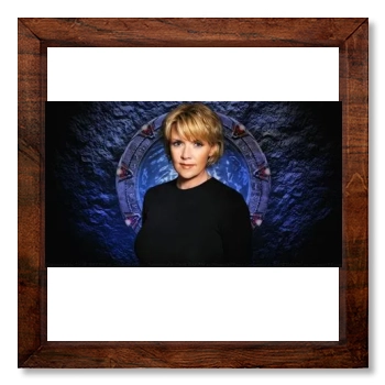 Amanda Tapping 12x12