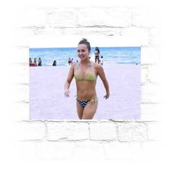 Hayden Panettiere Metal Wall Art