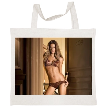 Alessandra Ambrosio Tote