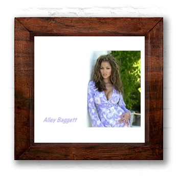 Alley Baggett 6x6