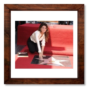 Shania Twain 12x12