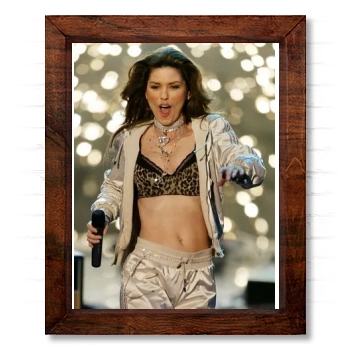 Shania Twain 14x17