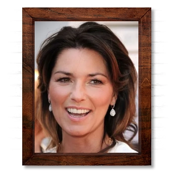 Shania Twain 14x17