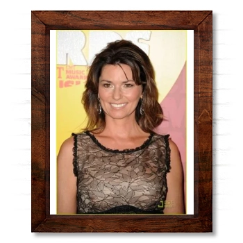 Shania Twain 14x17