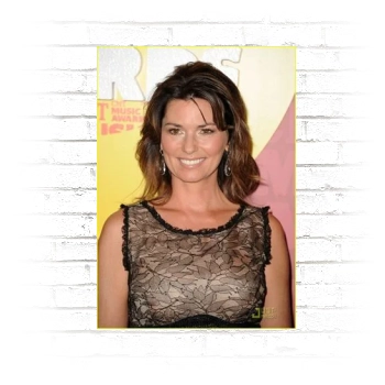 Shania Twain Poster