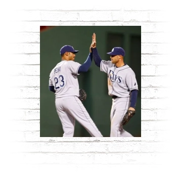 Tampa Bay Rays Poster