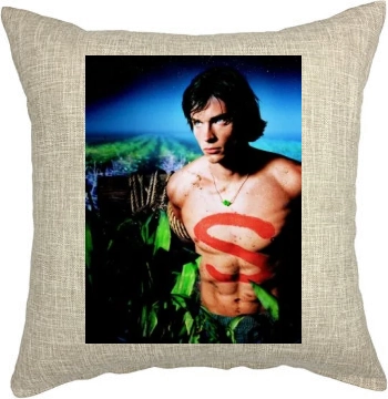 Smallville (2001) Pillow