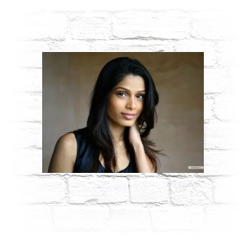 Freida Pinto Metal Wall Art