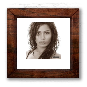 Freida Pinto 6x6