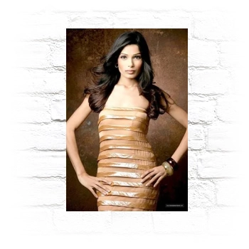 Freida Pinto Metal Wall Art