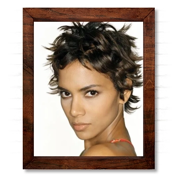 Halle Berry 14x17