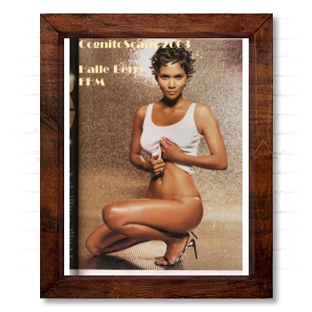 Halle Berry 14x17