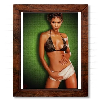 Halle Berry 14x17