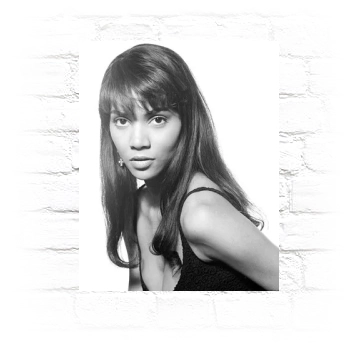 Halle Berry Metal Wall Art