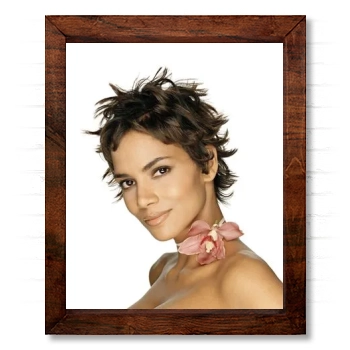 Halle Berry 14x17