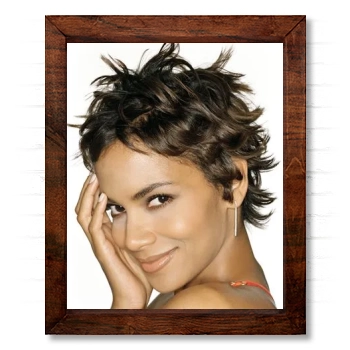 Halle Berry 14x17