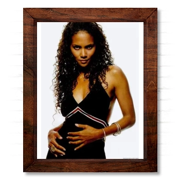 Halle Berry 14x17