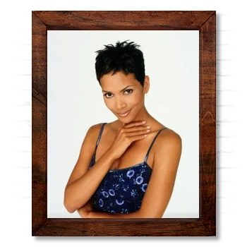 Halle Berry 14x17