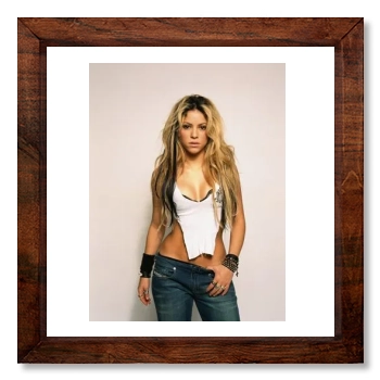 Shakira 12x12