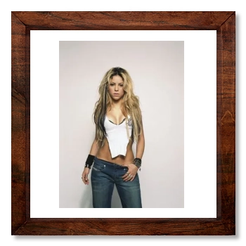 Shakira 12x12