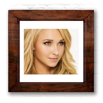 Hayden Panettiere 6x6