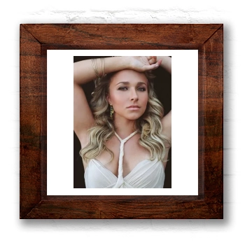 Hayden Panettiere 6x6