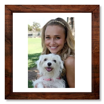 Hayden Panettiere 12x12