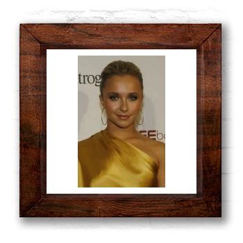 Hayden Panettiere 6x6