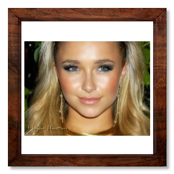 Hayden Panettiere 12x12