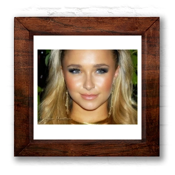 Hayden Panettiere 6x6