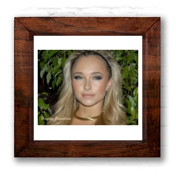 Hayden Panettiere 6x6